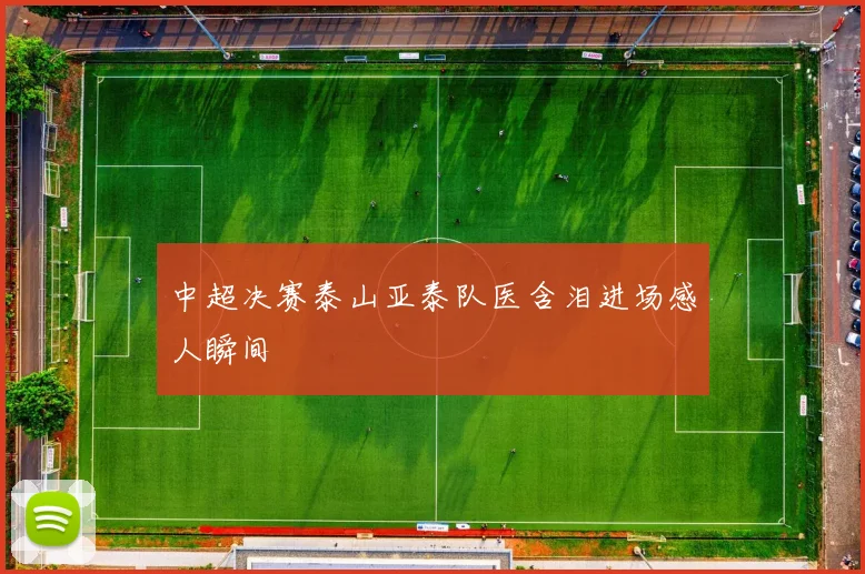 中超决赛泰山亚泰队医含泪进场感人瞬间