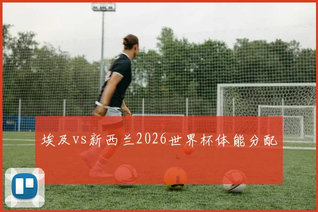 埃及vs新西兰2026世界杯体能分配