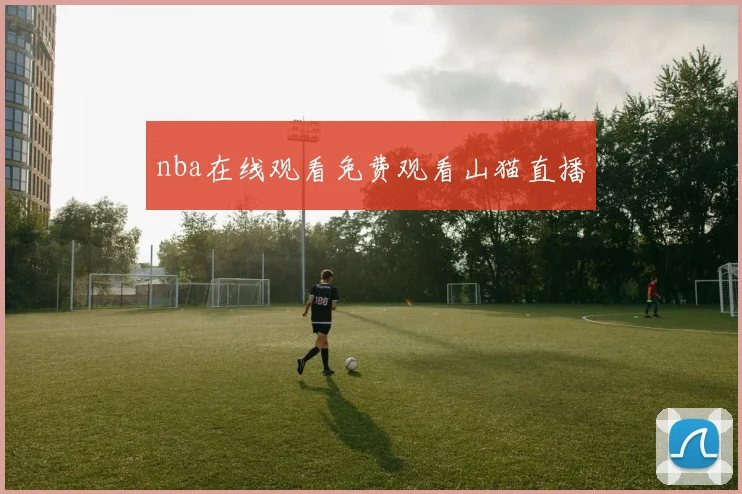 nba在线观看免费观看山猫直播