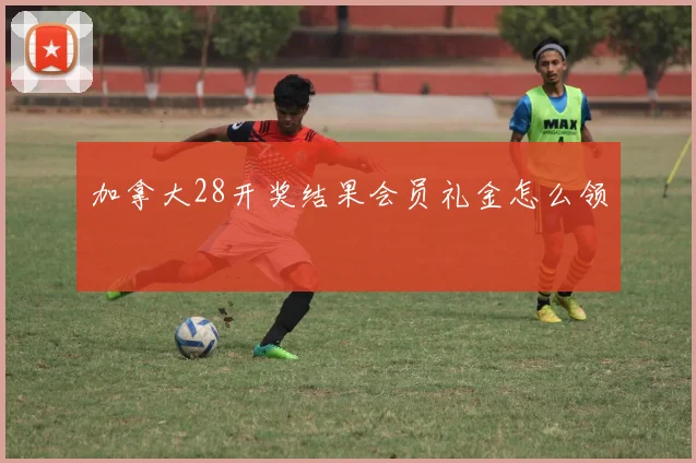 加拿大28开奖结果会员礼金怎么领
