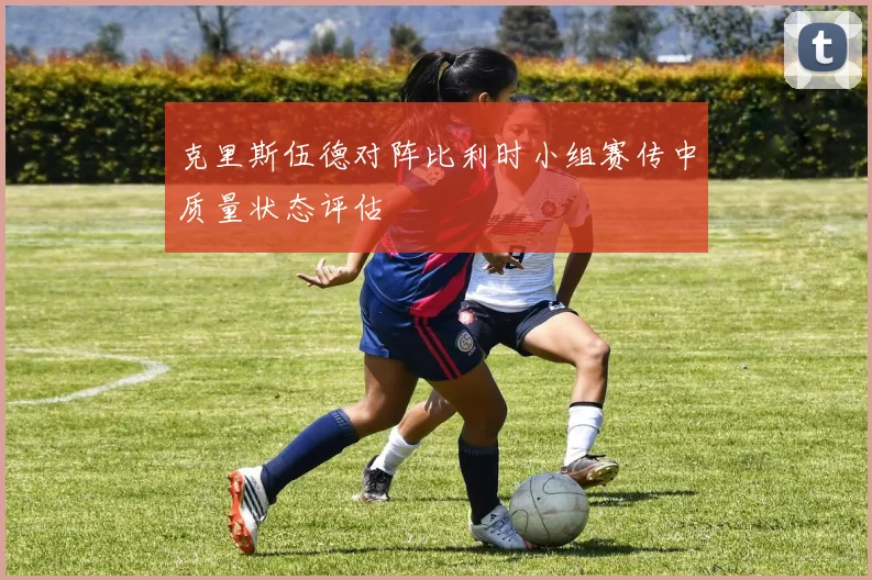 克里斯伍德对阵比利时小组赛传中质量状态评估