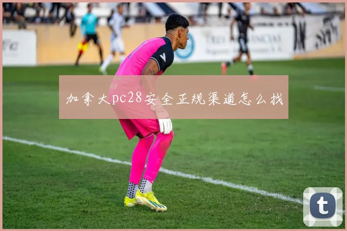 加拿大pc28安全正规渠道怎么找