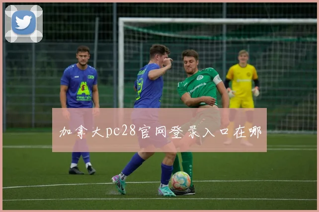 加拿大pc28官网登录入口在哪