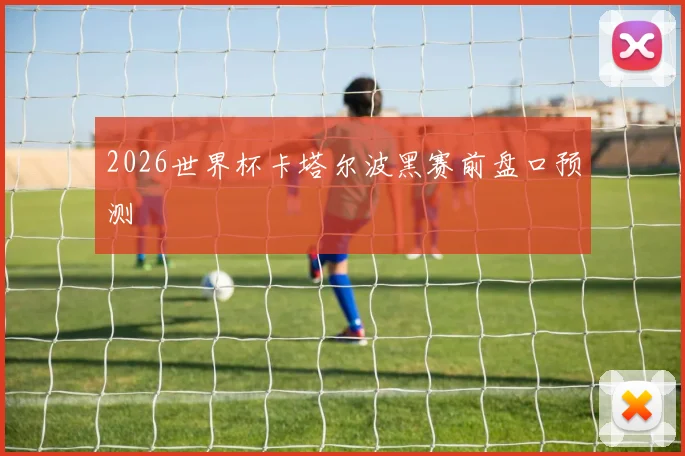2026世界杯卡塔尔波黑赛前盘口预测